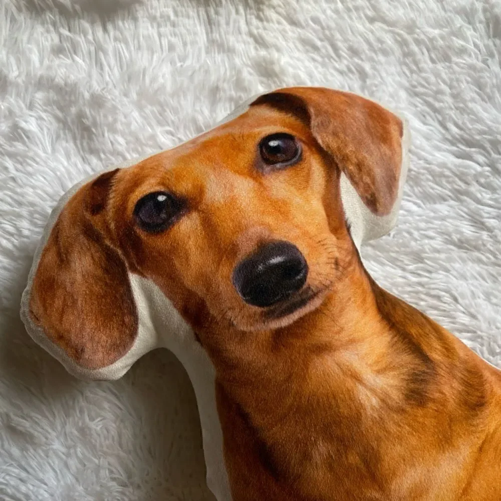 Envogue Miniature Dachshund Puppy‎ Dog Decorative Pillow Smooth Double Sided